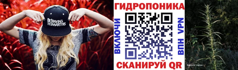 МАРИХУАНА тримм  как найти закладки  Куса 